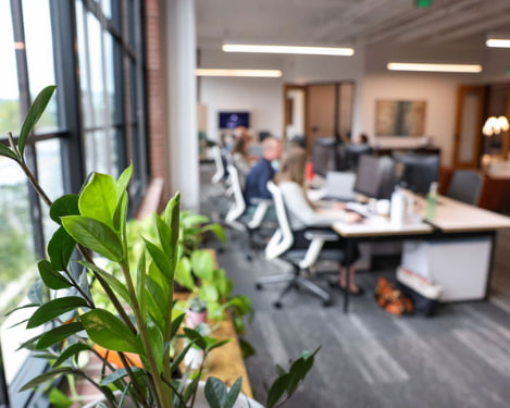 Office plants with SMARI employees working at their computers in the background