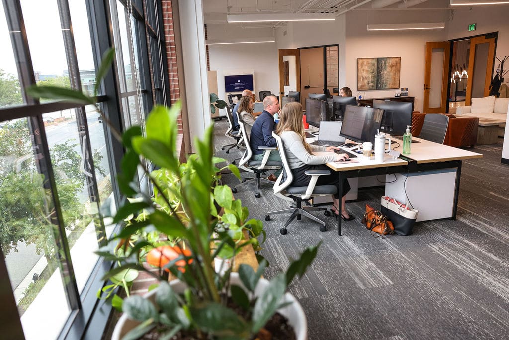 4 SMARI employees working at their computers with plants in the foreground